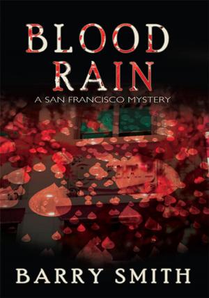 Cover of the book Blood Rain by John B. Vinturella Ph.D.