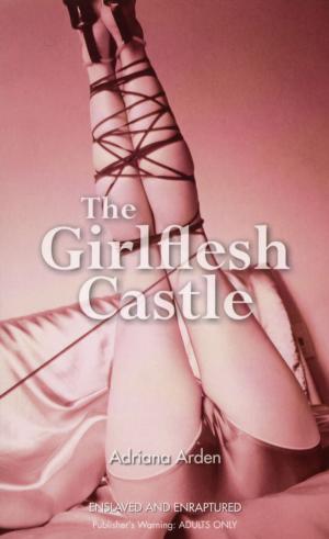 Cover of the book The Girlflesh Castle by Anne Mustoe