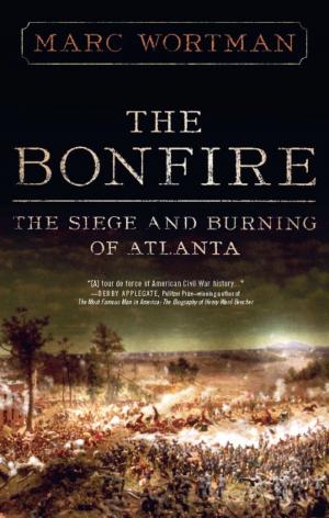 Cover of the book The Bonfire by Alan Green
