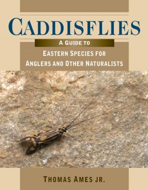 Cover of the book Caddisflies by Cheri Farnsworth