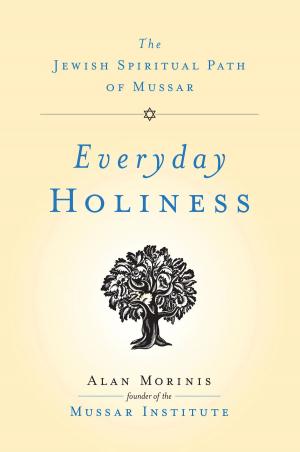 Cover of the book Everyday Holiness by Rabbi David Aaron