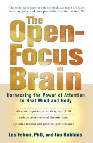 Cover of the book The Open-Focus Brain by Misak Misakyan