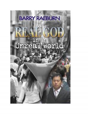 Cover of the book A Real God in an Unreal World by Sean Devine