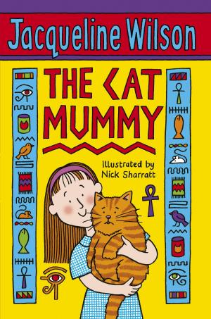 Cover of the book The Cat Mummy by Paul Stewart, Chris Riddell