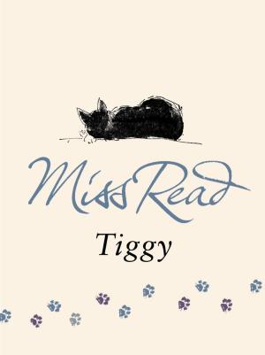Cover of the book Tiggy by Colin Kapp