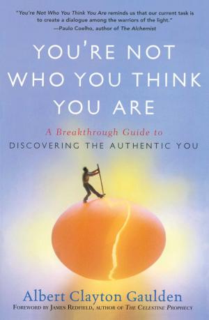 Cover of the book You're Not Who You Think You Are by Liliana   Martínez