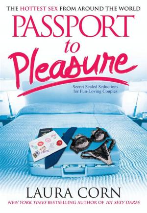 Cover of the book Passport to Pleasure by George Crabb