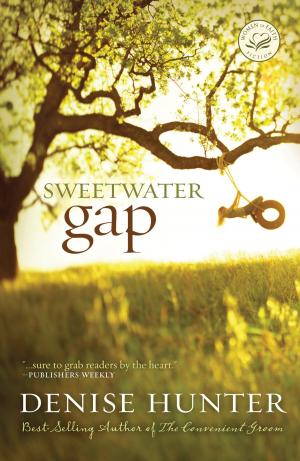 Cover of the book Sweetwater Gap by J. Vernon McGee