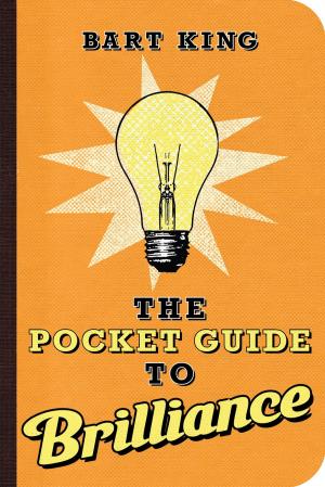 Book cover of The Pocket Guide to Brilliance