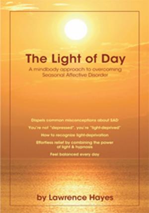 Cover of the book The Light of Day by Denise Samyn