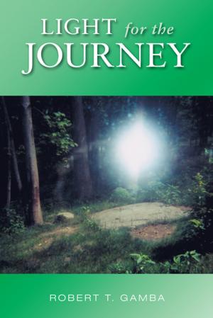 Cover of the book Light for the Journey by Rita Trafford