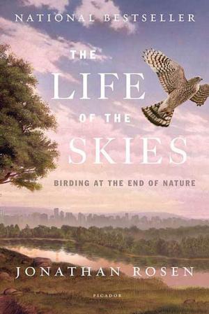 Cover of the book The Life of the Skies by Noam Chomsky