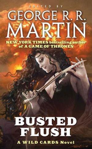 Cover of the book Busted Flush by Win Blevins