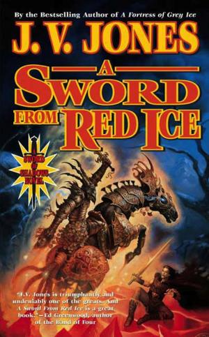 Cover of the book A Sword from Red Ice by Scott Spangler