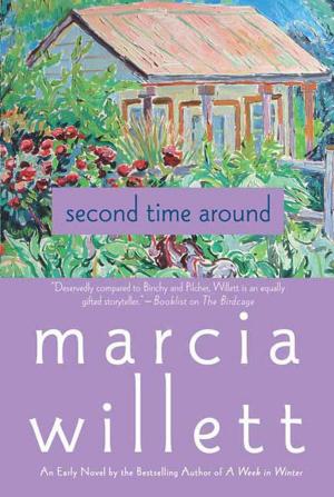 Cover of the book Second Time Around by William G. Tapply