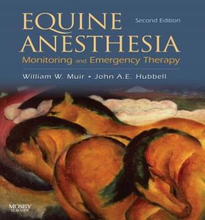 Cover of the book Equine Anesthesia by Eyal Lederman, DO, PhD