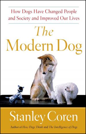 Cover of the book The Modern Dog by Terry Golway