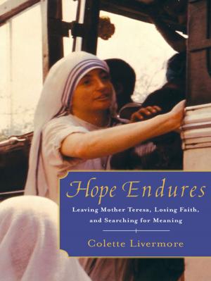 Cover of the book Hope Endures by Elisha Goldstein, Ph.D.