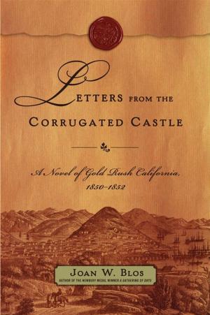 Cover of the book Letters from the Corrugated Castle by Frances O'Roark Dowell