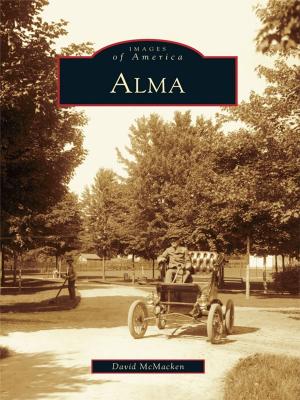 Cover of the book Alma by Elizabeth Dodd Brinkofski
