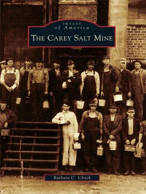Cover of the book The Carey Salt Mine by Lynn Zook, Allen Sandquist, Carey Burke