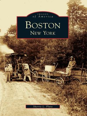 Cover of the book Boston, New York by Bruce Megowan, Maureen Megowan