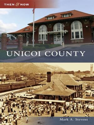Cover of the book Unicoi County by Christie Sausa