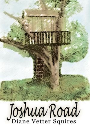 Cover of the book Joshua Road by Jasmine Carrietté