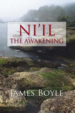 Cover of the book Ni'il: the Awakening by David Crampton
