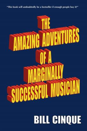Cover of the book The Amazing Adventures of a Marginally Successful Musician by Mansell Williams