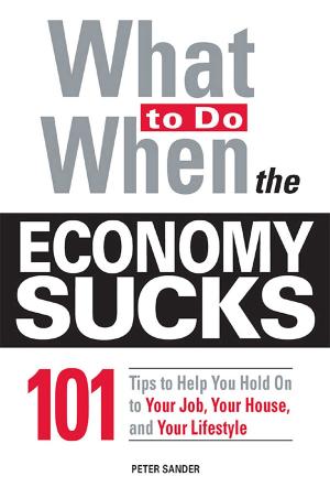 Cover of the book What To Do When the Economy Sucks by Avram Davidson