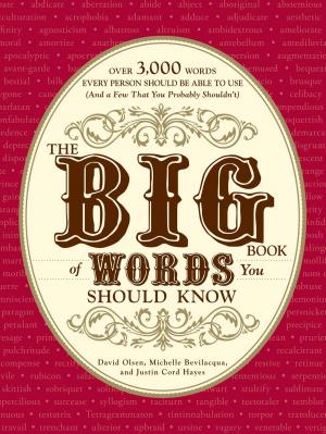 Cover of the book The Big Book of Words You Should Know by Michael Dahl, Kathi Wagner, Aubrey Wagner, Aileen Weintraub