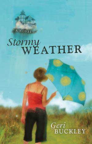 Cover of the book Stormy Weather by Christopher Benfey