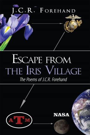 Cover of the book Escape from the Iris Village by Ken Hokeness