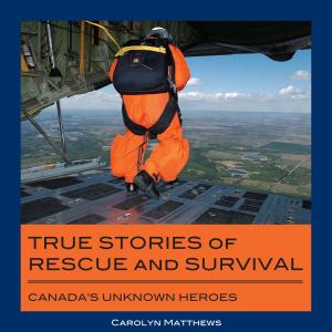 Cover of the book True Stories of Rescue and Survival by Colonel Bernd Horn