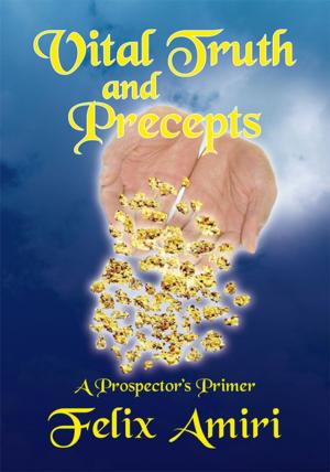 Cover of the book Vital Truth and Precepts by David Jensen