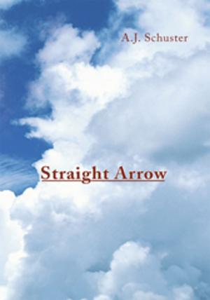 bigCover of the book Straight Arrow by 