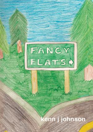Cover of the book Fancy Flats by Bernice Zakin