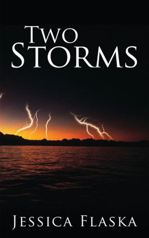Cover of the book Two Storms by C.F. William Maurer