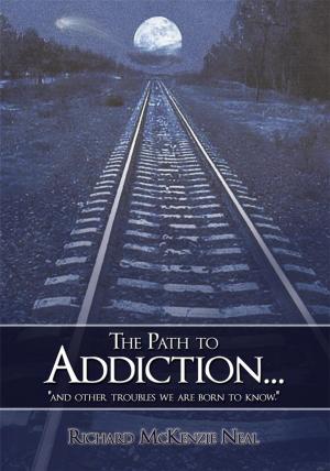 Book cover of The Path to Addiction...