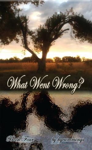 Cover of the book What Went Wrong? by RaeDeen Heupel