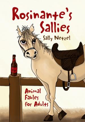 Cover of the book Rosinante's Sallies by Martin van Daalen