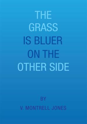 Cover of the book The Grass Is Bluer on the Other Side by Kamil Przybylo