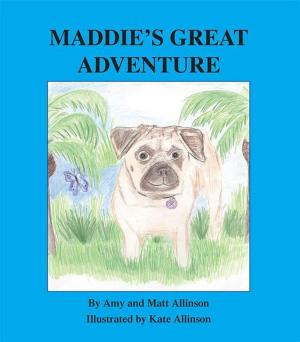 Cover of the book Maddie's Great Adventure by K Nelson Rybolt