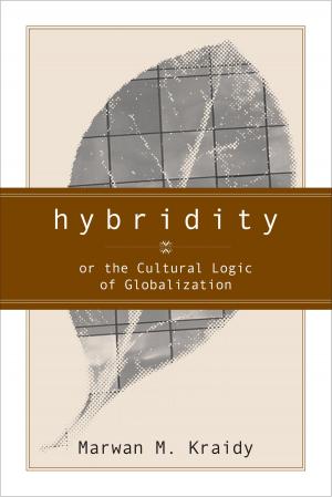 Cover of the book Hybridity by Patricia Hill Collins