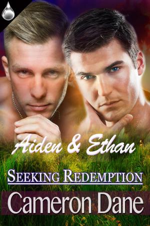Cover of the book Aidan and Ethan by Raine McIntyre