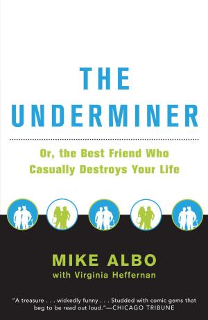 Cover of the book The Underminer by Ian Blake