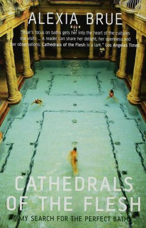 Cover of the book Cathedrals of the Flesh by Margaret Irwin