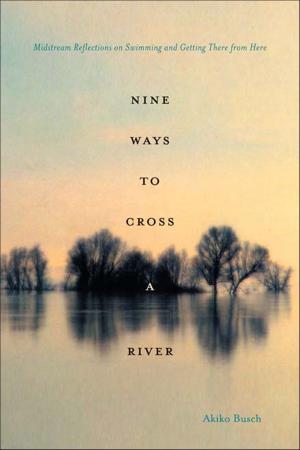 Cover of the book Nine Ways to Cross a River by Carmel Winters