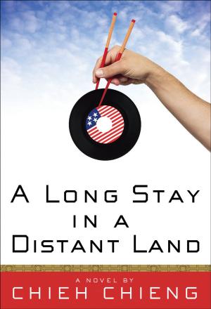 Cover of the book A Long Stay in a Distant Land by Chris Priestley